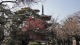 img0043.jpg