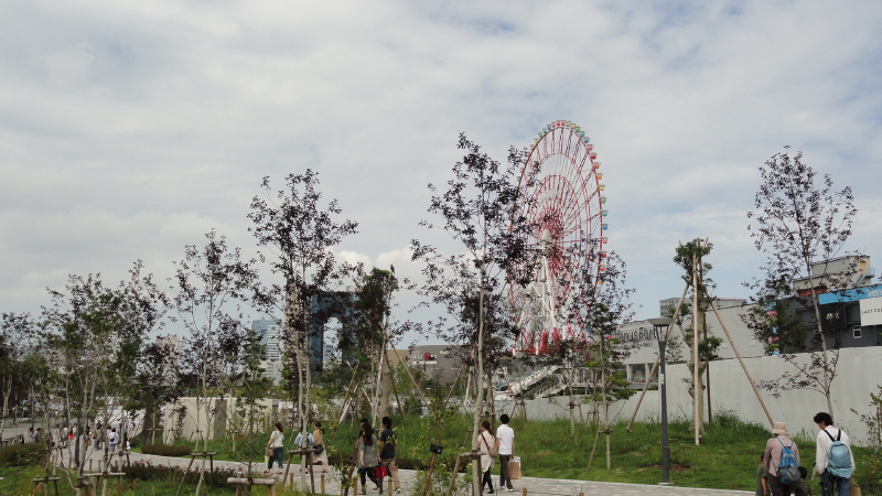 img0019.jpg