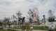 img0019.jpg