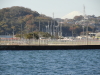 img0015.jpg