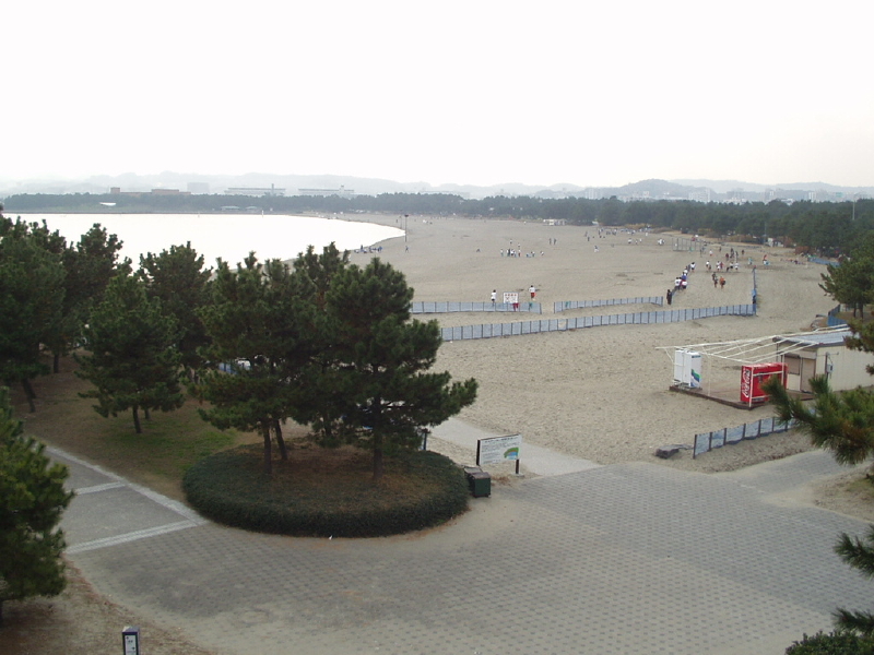 img0001.jpg