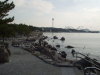 img0002.jpg