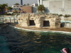 img0032.jpg