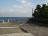 img0037.jpg