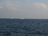 img0038.jpg