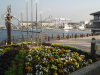 img0040.jpg