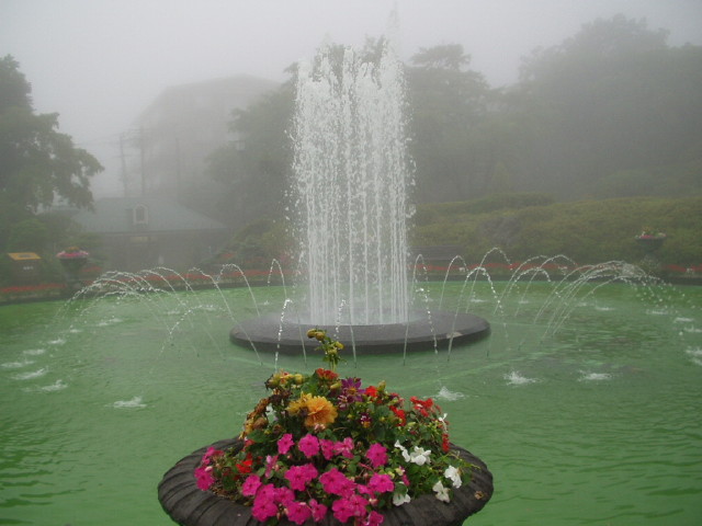 img0004.jpg