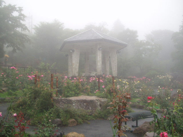 img0005.jpg