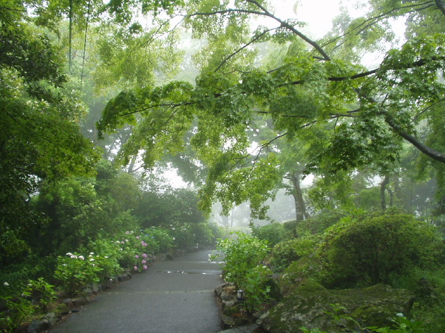 img0007.jpg