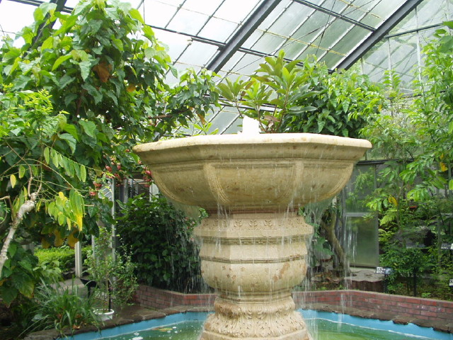 img0010.jpg