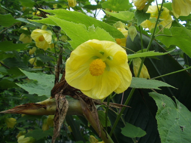 img0011.jpg
