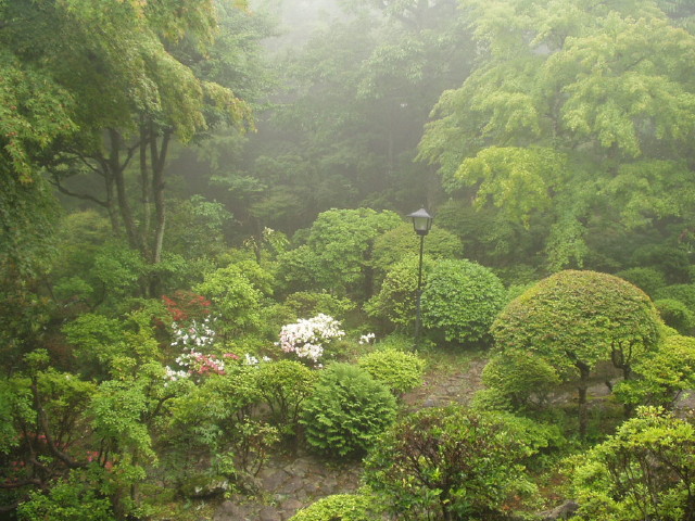 img0022.jpg