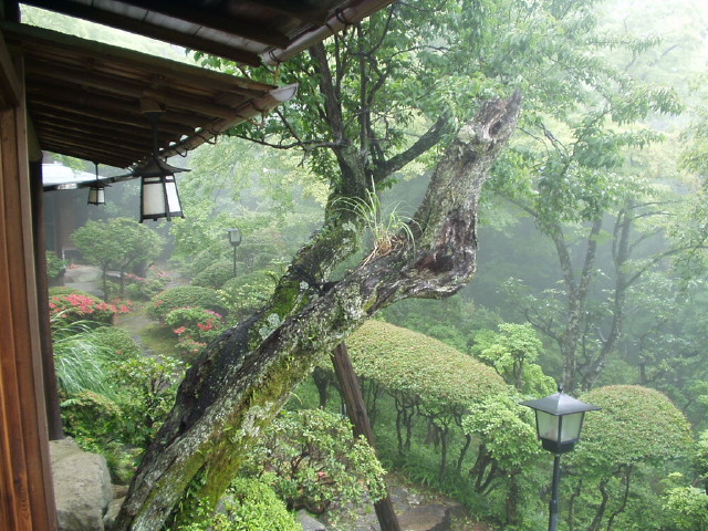 img0023.jpg