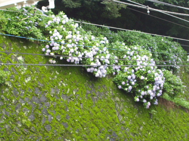 img0026.jpg