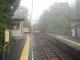 img0001.jpg