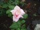 img0006.jpg