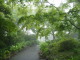 img0007.jpg