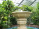 img0010.jpg