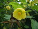 img0011.jpg