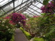 img0012.jpg