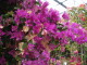 img0013.jpg