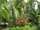 img0015.jpg
