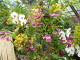 img0016.jpg