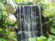 img0019.jpg