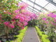 img0020.jpg