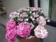 img0021.jpg