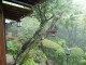 img0023.jpg