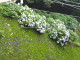 img0026.jpg