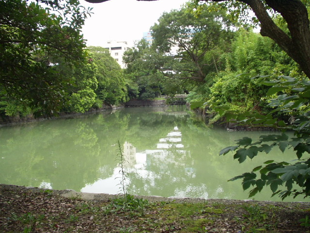 img0004.jpg