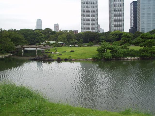 img0010.jpg