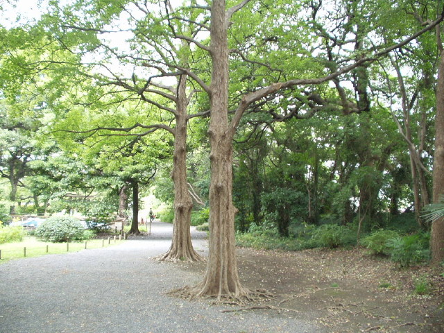 img0012.jpg
