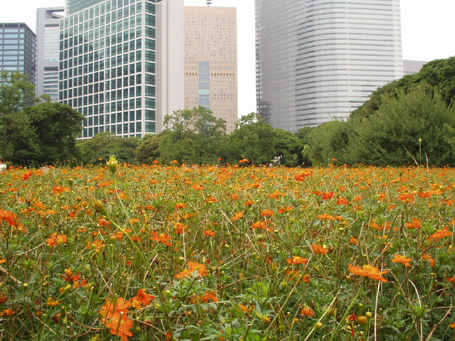 img0016.jpg