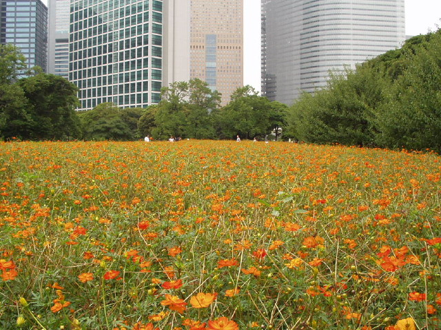 img0017.jpg
