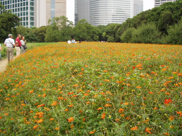 img0018.jpg