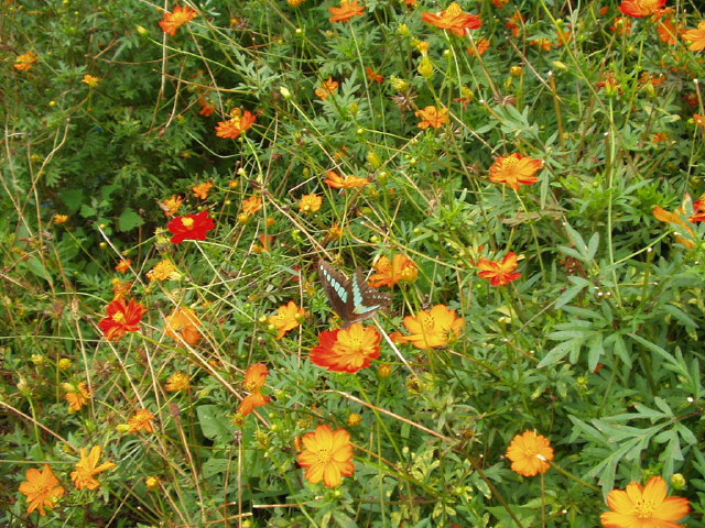 img0019.jpg