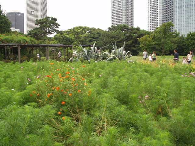 img0020.jpg