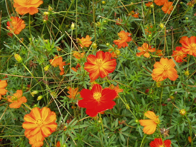 img0023.jpg