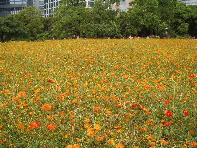 img0025.jpg