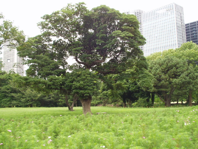 img0026.jpg
