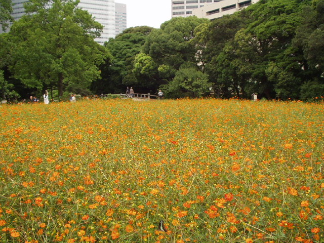 img0027.jpg
