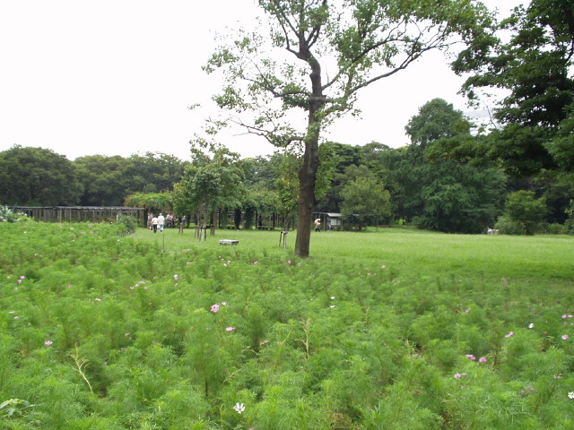 img0028.jpg