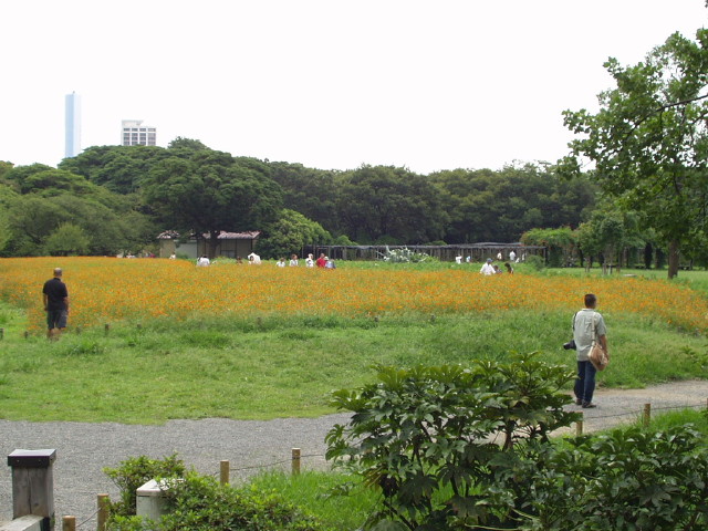 img0029.jpg