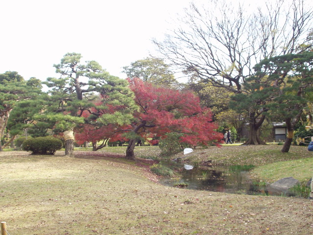 img0033.jpg
