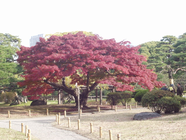img0034.jpg