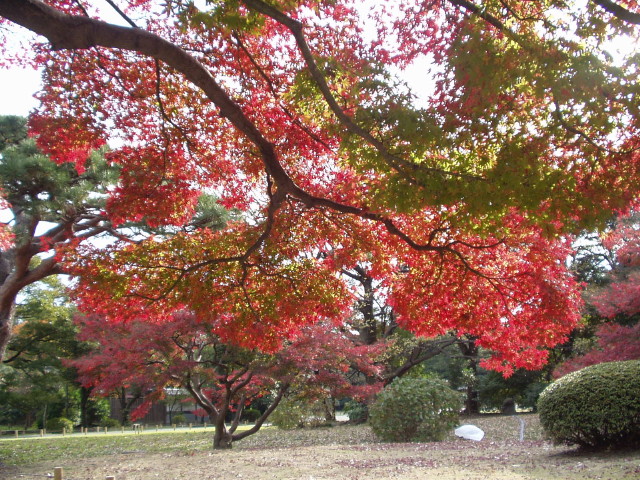 img0035.jpg
