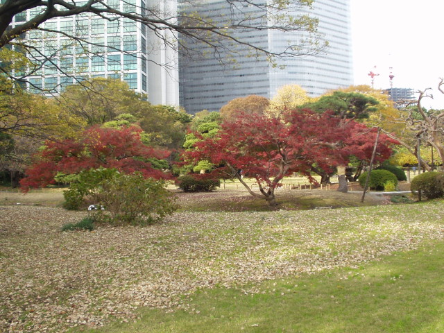 img0036.jpg
